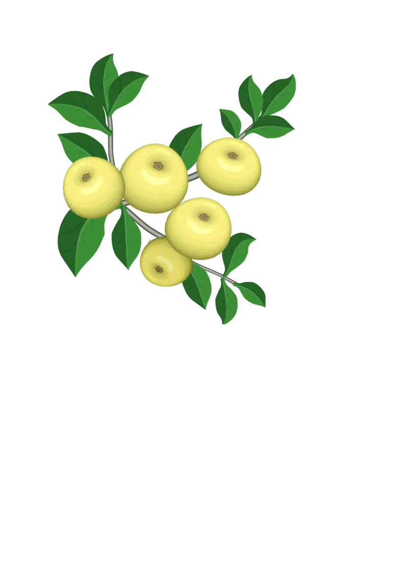 人教版小学数学二年级上册期末复习题（3）_小学1-6年级全部试卷_数学_二年级_3-7-3、小学二年级数学上册_3-7-3-2、练习题、作业、试题、试卷_人教版_期末测试卷