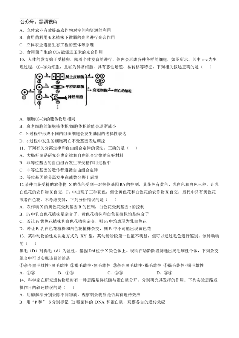 青海省金太阳2024-2025学年高三上学期期中联考生物试题（含答案）_2024-2025高三（6-6月题库）_2024年11月试卷_1125青海省名校联盟金太阳2024-2025学年高三上学期11月联考
