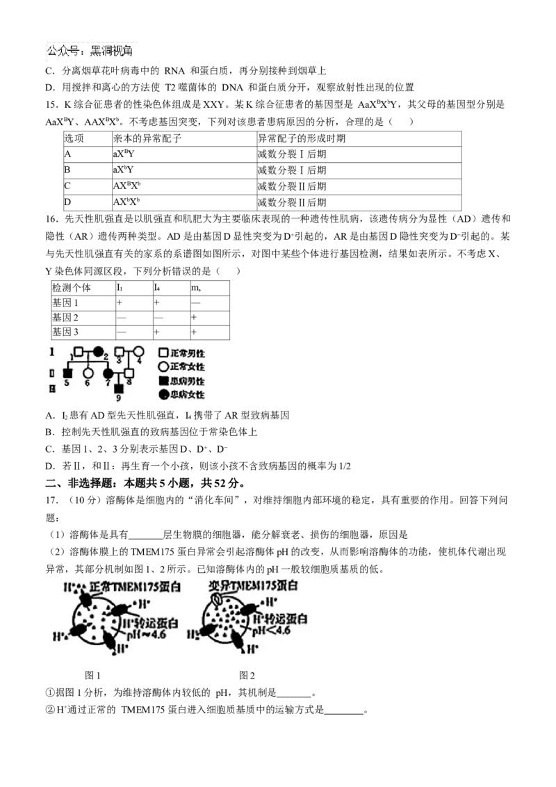 青海省金太阳2024-2025学年高三上学期期中联考生物试题（含答案）_2024-2025高三（6-6月题库）_2024年11月试卷_1125青海省名校联盟金太阳2024-2025学年高三上学期11月联考