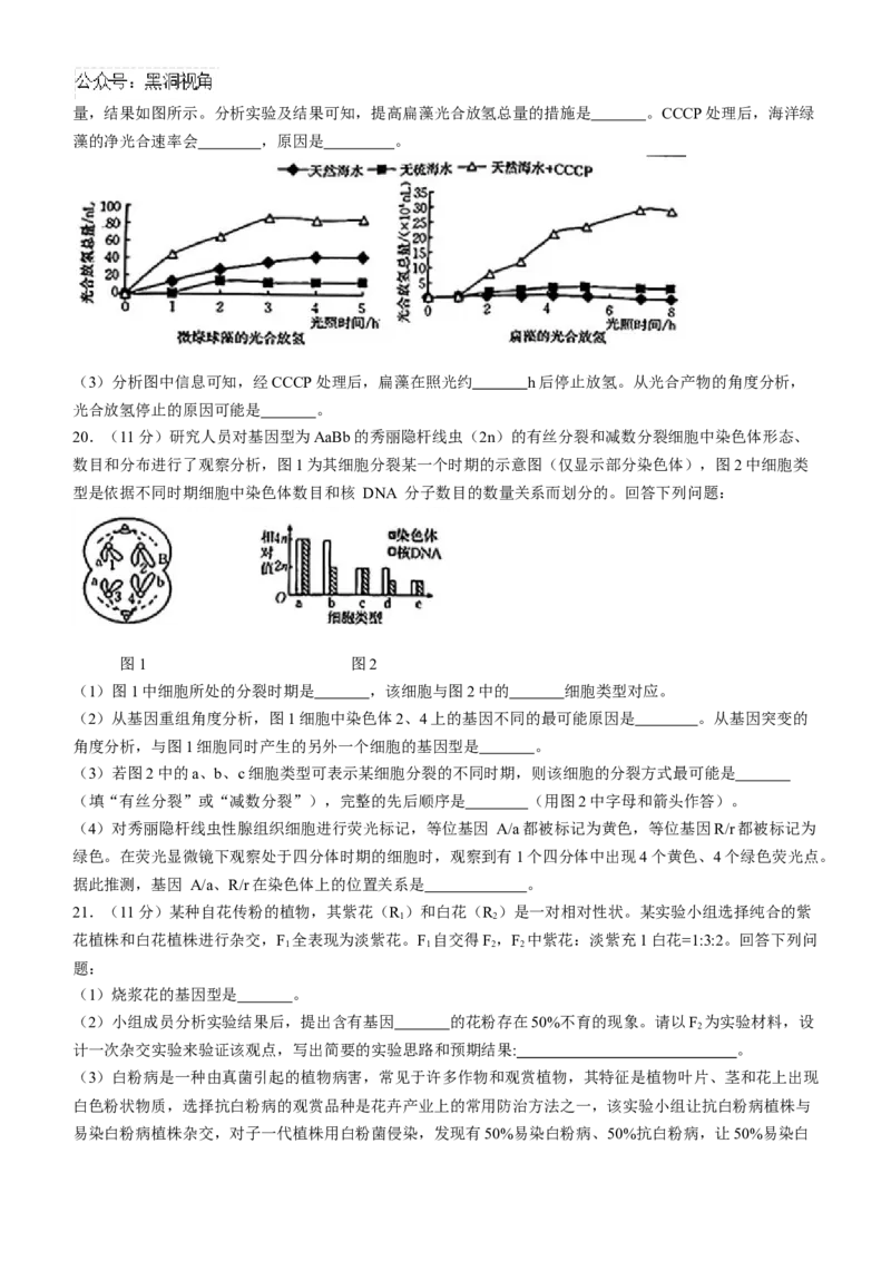 青海省金太阳2024-2025学年高三上学期期中联考生物试题（含答案）_2024-2025高三（6-6月题库）_2024年11月试卷_1125青海省名校联盟金太阳2024-2025学年高三上学期11月联考