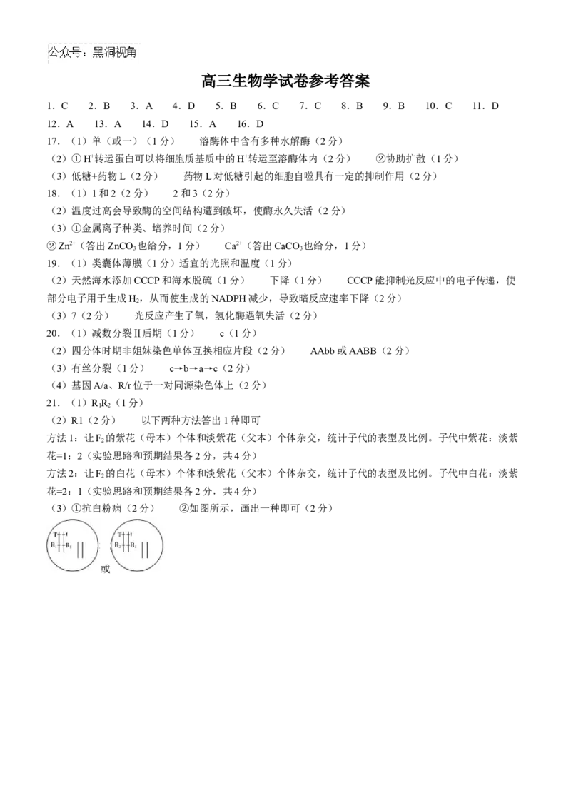 青海省金太阳2024-2025学年高三上学期期中联考生物试题（含答案）_2024-2025高三（6-6月题库）_2024年11月试卷_1125青海省名校联盟金太阳2024-2025学年高三上学期11月联考