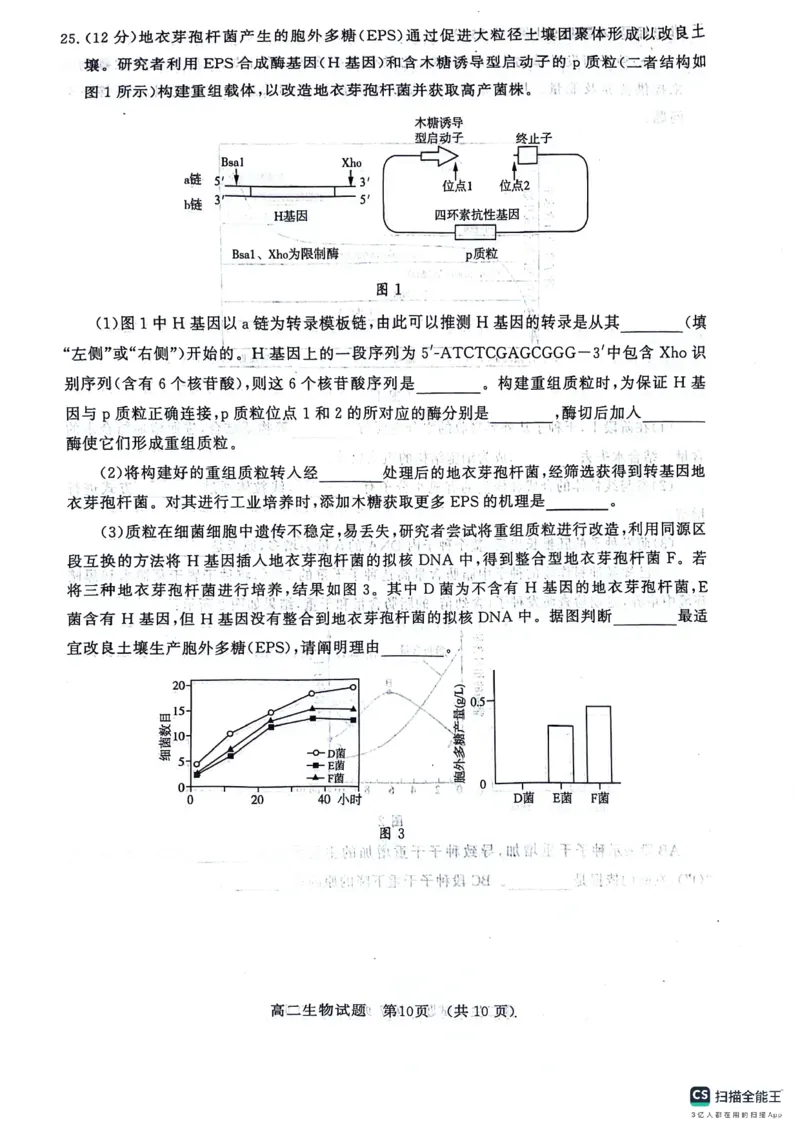 生物-山东省济南市2025届高二下学期期末考试试题和答案_2024-2025高二（7-7月题库）_2024年07月试卷_0723山东省济南市2025届高二下学期期末考试