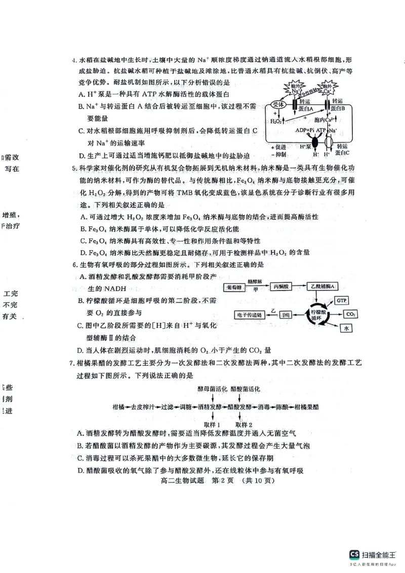 生物-山东省济南市2025届高二下学期期末考试试题和答案_2024-2025高二（7-7月题库）_2024年07月试卷_0723山东省济南市2025届高二下学期期末考试