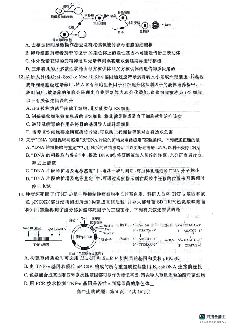生物-山东省济南市2025届高二下学期期末考试试题和答案_2024-2025高二（7-7月题库）_2024年07月试卷_0723山东省济南市2025届高二下学期期末考试