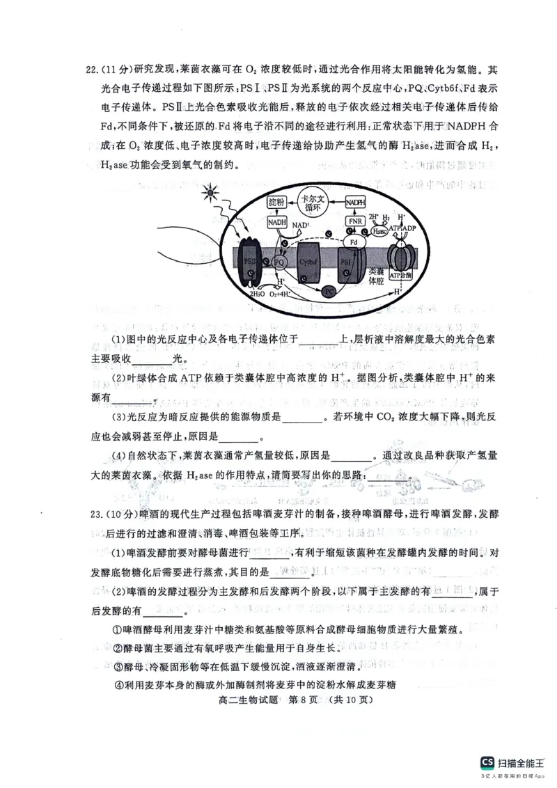 生物-山东省济南市2025届高二下学期期末考试试题和答案_2024-2025高二（7-7月题库）_2024年07月试卷_0723山东省济南市2025届高二下学期期末考试