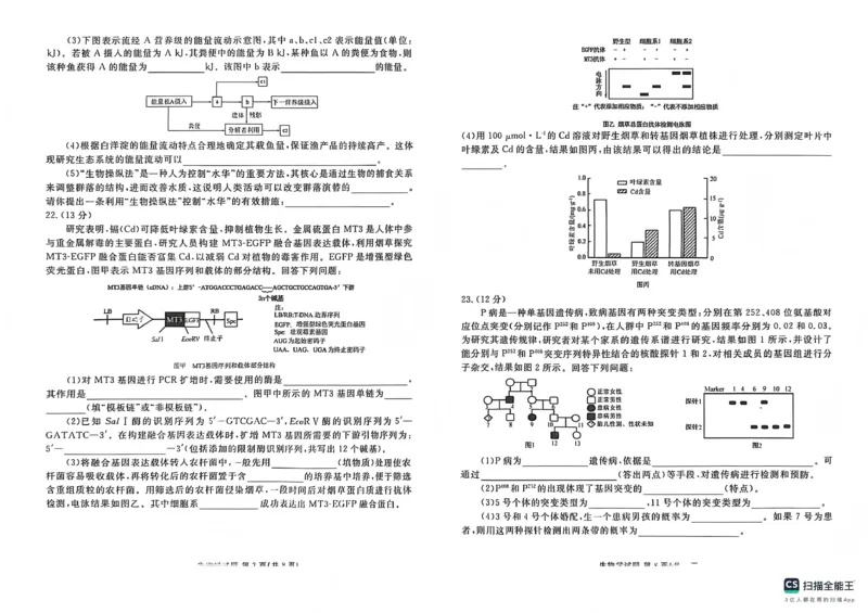 2025&mdash;2026学年高三第一学期期末一考试生物_2024-2026高三（6-6月题库）_2026年01月高三试卷_0109河北省衡水金卷先享题2025&mdash;2026学年高三第一学期期末一考试