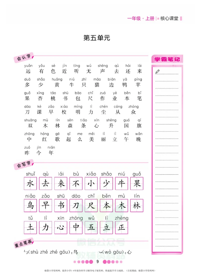 一年级上册语文部编版考点过关_小学1-6年级全部试卷_语文_一年级_3-6-1、小学一年级语文上册_3-6-1-1、复习、知识点、归纳汇总_通用