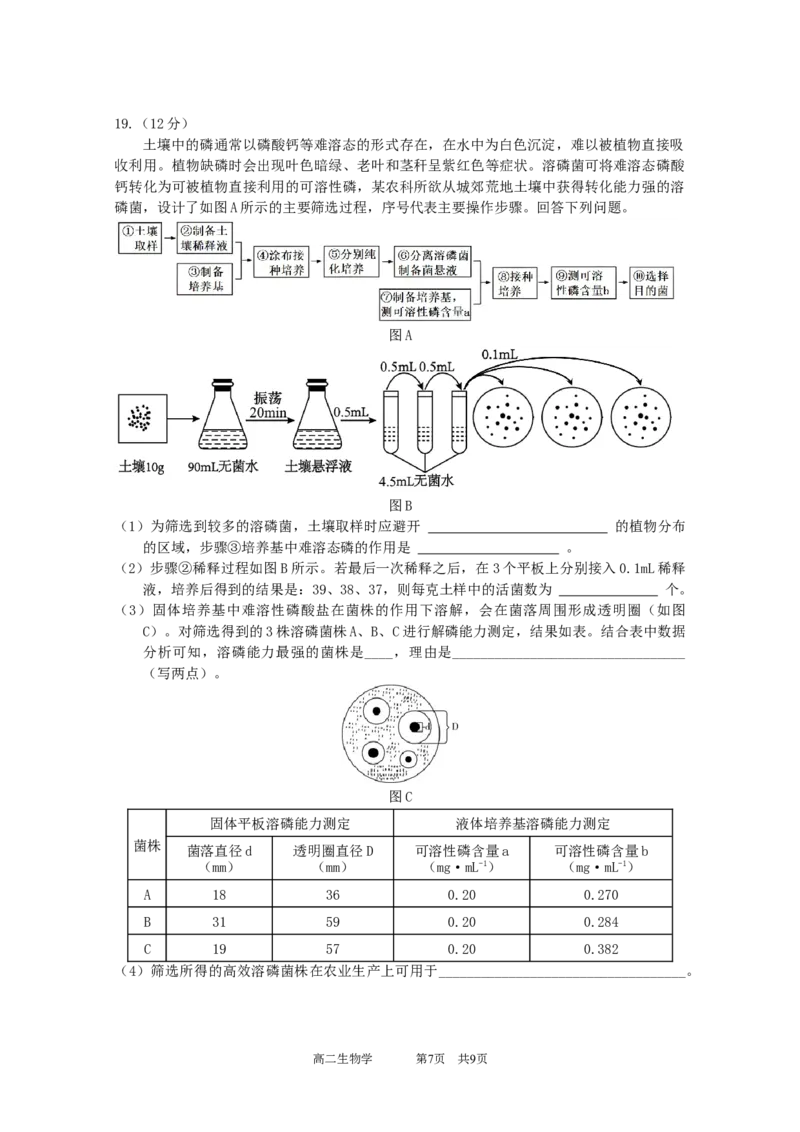 试卷_2025高二下中段考3.0（印2.0）_2024-2025高二（7-7月题库）_2025年05月试卷_0519广东实验中学2024-2025学年高二下学期期中考试