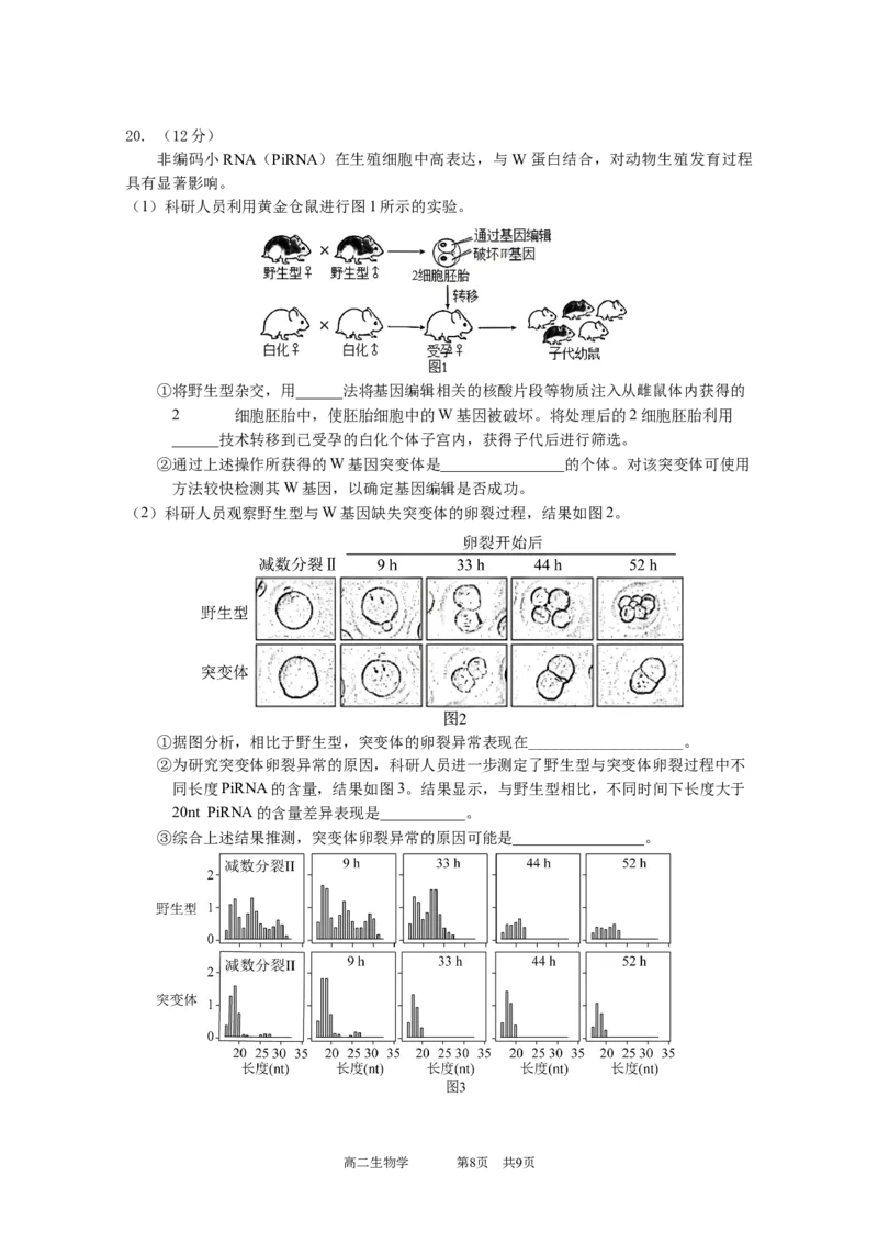 试卷_2025高二下中段考3.0（印2.0）_2024-2025高二（7-7月题库）_2025年05月试卷_0519广东实验中学2024-2025学年高二下学期期中考试