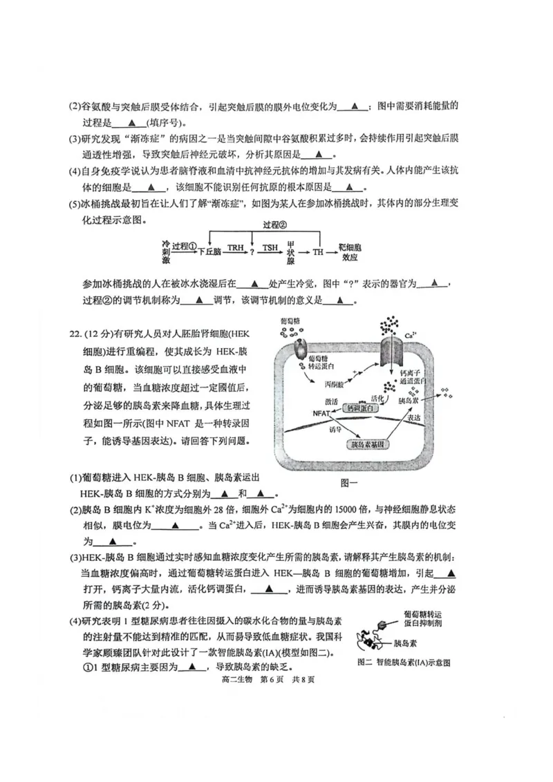 生物试题苏州市2024-2025学年高二上学期期中考试_2024-2025高二（7-7月题库）_2024年11月试卷_11172024-2025学年江苏省苏州市第一学期高二期中考试