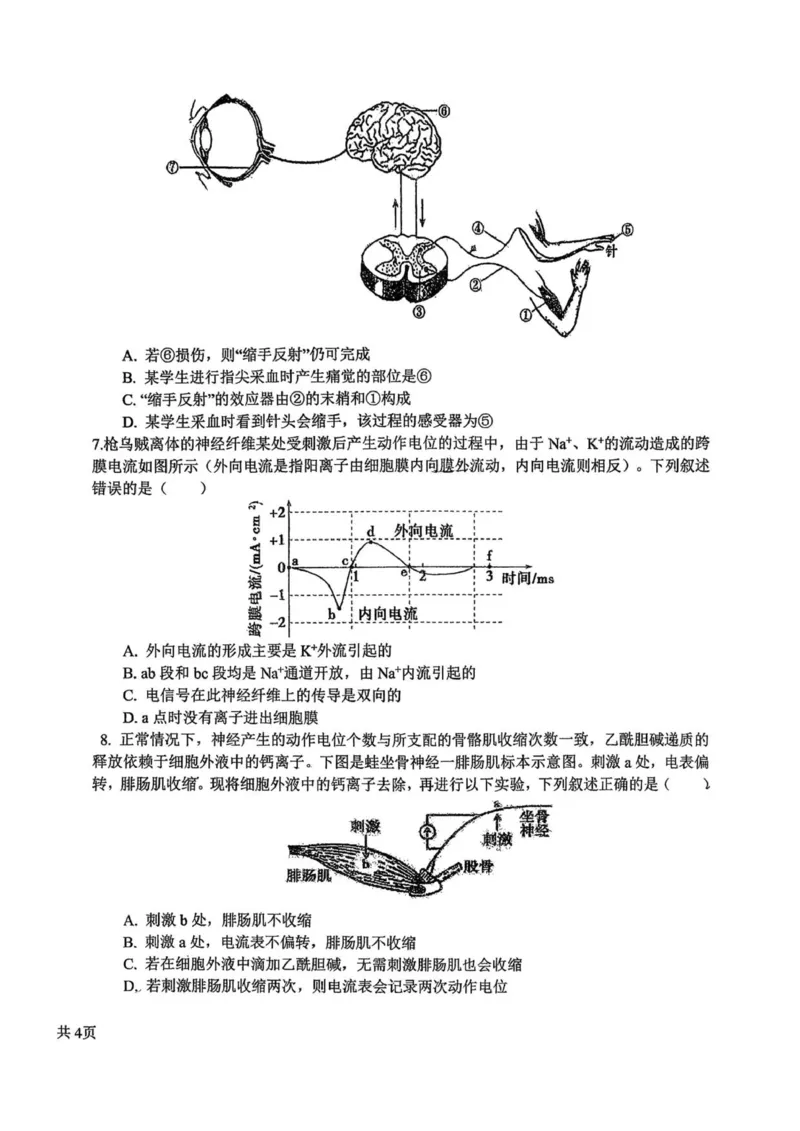 湖北省随州高中教联体2025-2026学年高二上学期11月期中生物试题_251211湖北省随州市高中教联体2025-2026学年高二上学期期中联考