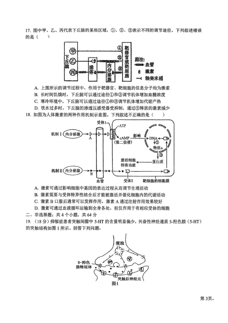 湖北省随州高中教联体2025-2026学年高二上学期11月期中生物试题_251211湖北省随州市高中教联体2025-2026学年高二上学期期中联考