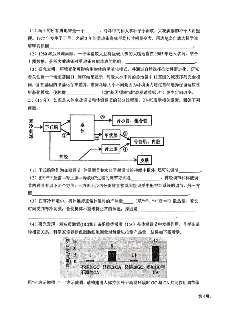 湖北省随州高中教联体2025-2026学年高二上学期11月期中生物试题_251211湖北省随州市高中教联体2025-2026学年高二上学期期中联考