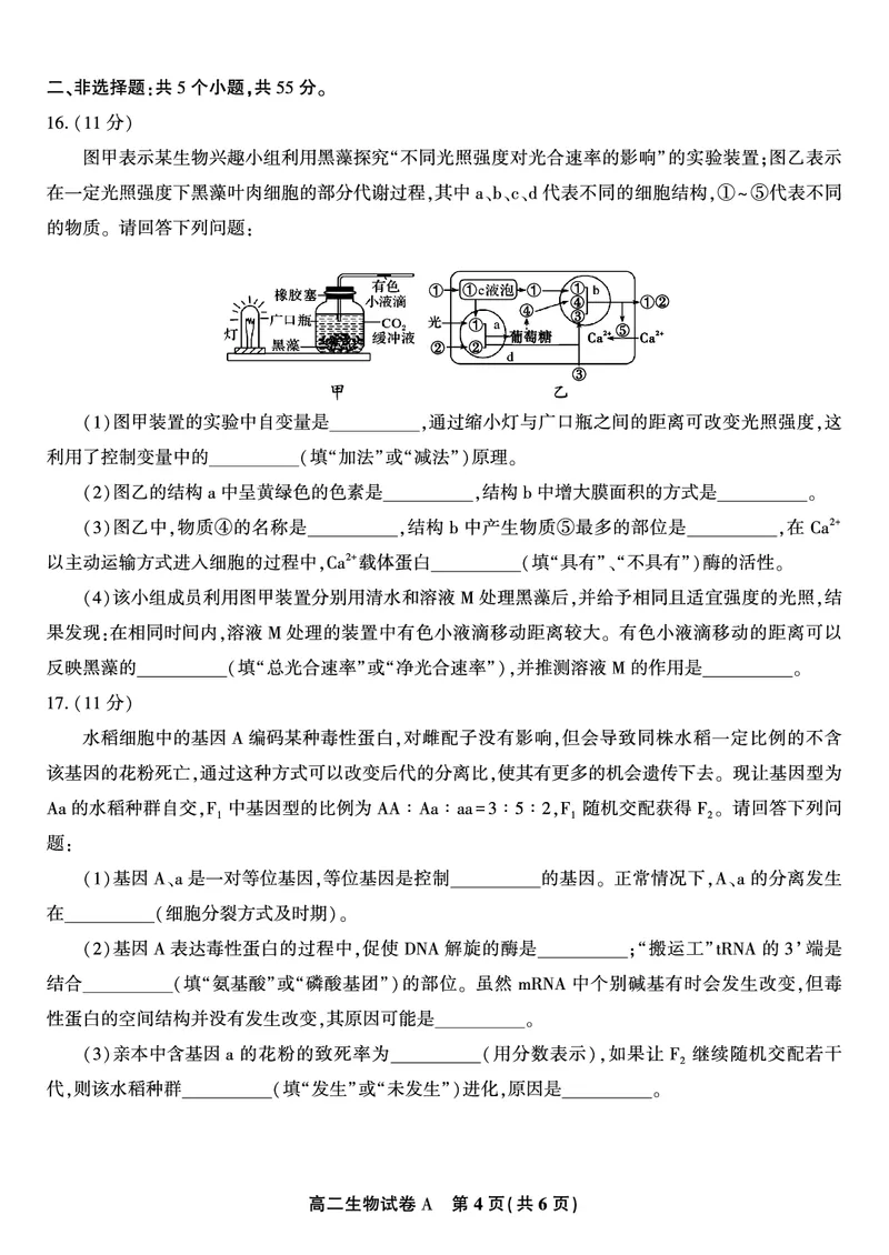 生物试题A&middot;2025年11月高二期中联考_2025年11月高二试卷_251123安徽省皖江名校联盟2025-2026学年高二上学期期中联考（全）