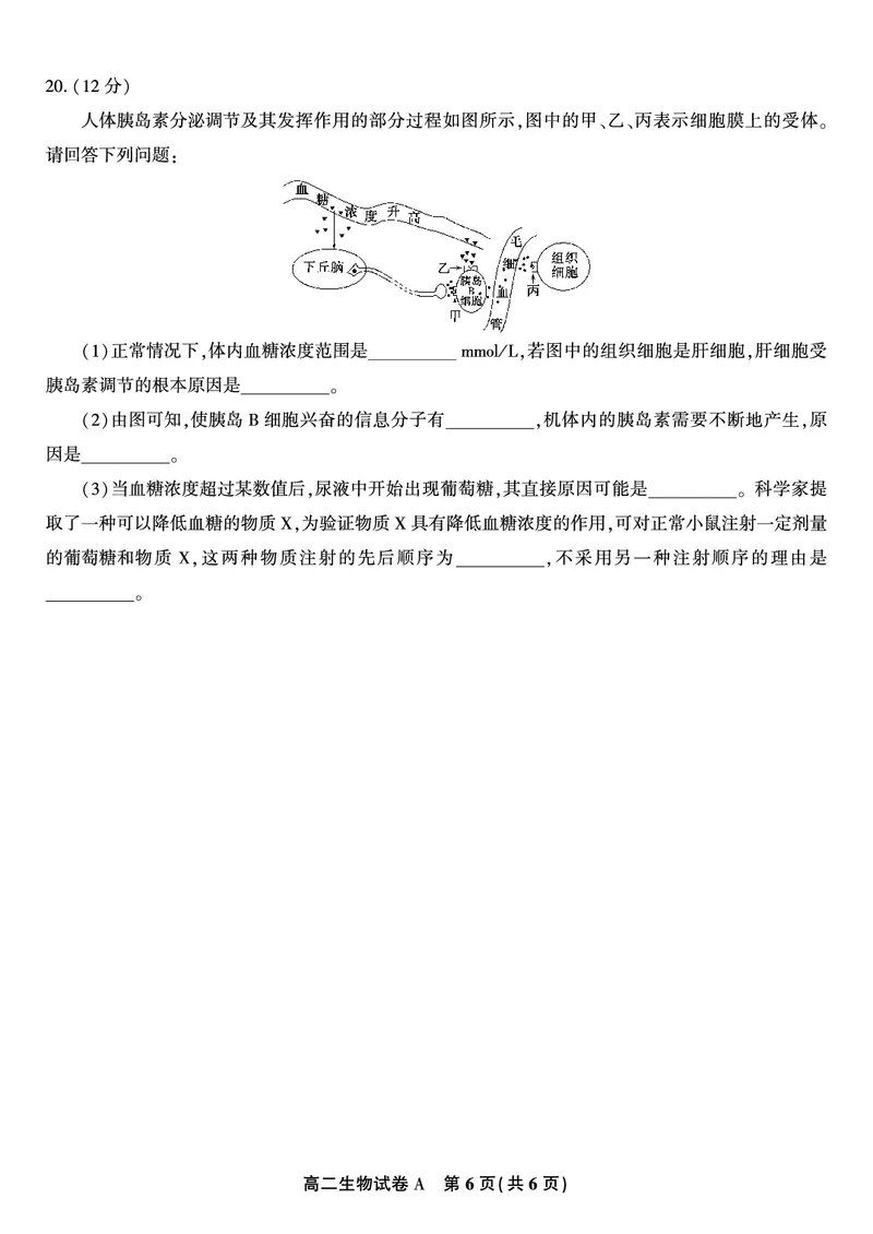 生物试题A&middot;2025年11月高二期中联考_2025年11月高二试卷_251123安徽省皖江名校联盟2025-2026学年高二上学期期中联考（全）