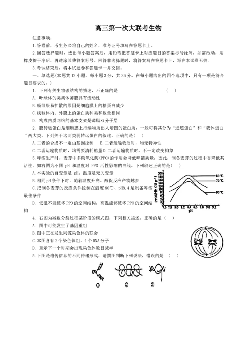 2025届河北省邯郸市部分校高三第一次大联考模拟预测生物试卷_2024-2026高三（6-6月题库）_2024年12月试卷_1214河北省邯郸市部分学校2025届高三上学期第一次大联考模拟预测（全科）