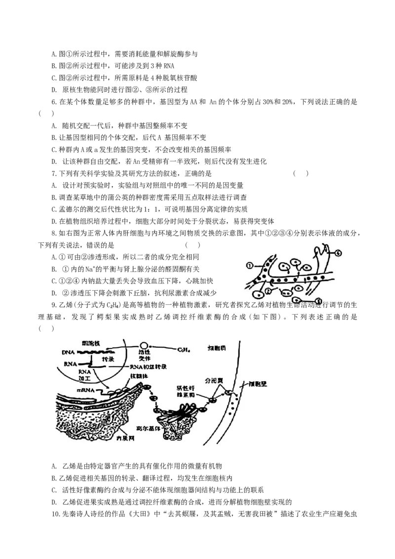 2025届河北省邯郸市部分校高三第一次大联考模拟预测生物试卷_2024-2026高三（6-6月题库）_2024年12月试卷_1214河北省邯郸市部分学校2025届高三上学期第一次大联考模拟预测（全科）