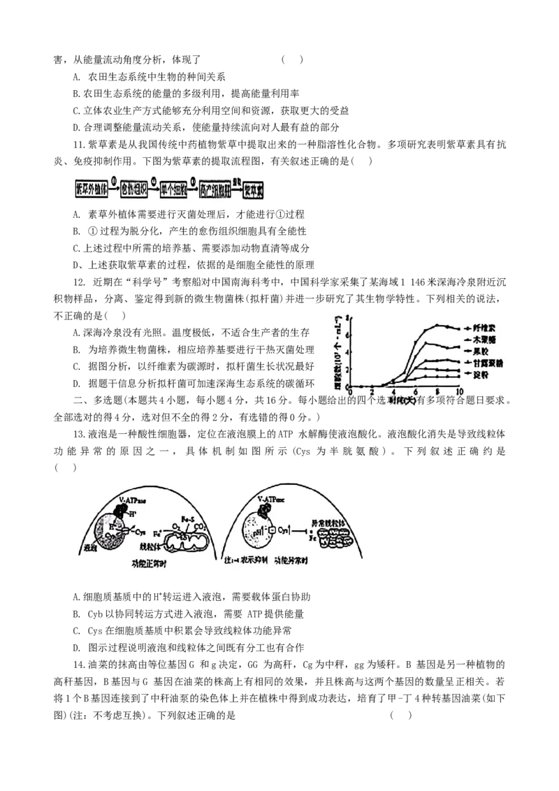 2025届河北省邯郸市部分校高三第一次大联考模拟预测生物试卷_2024-2026高三（6-6月题库）_2024年12月试卷_1214河北省邯郸市部分学校2025届高三上学期第一次大联考模拟预测（全科）