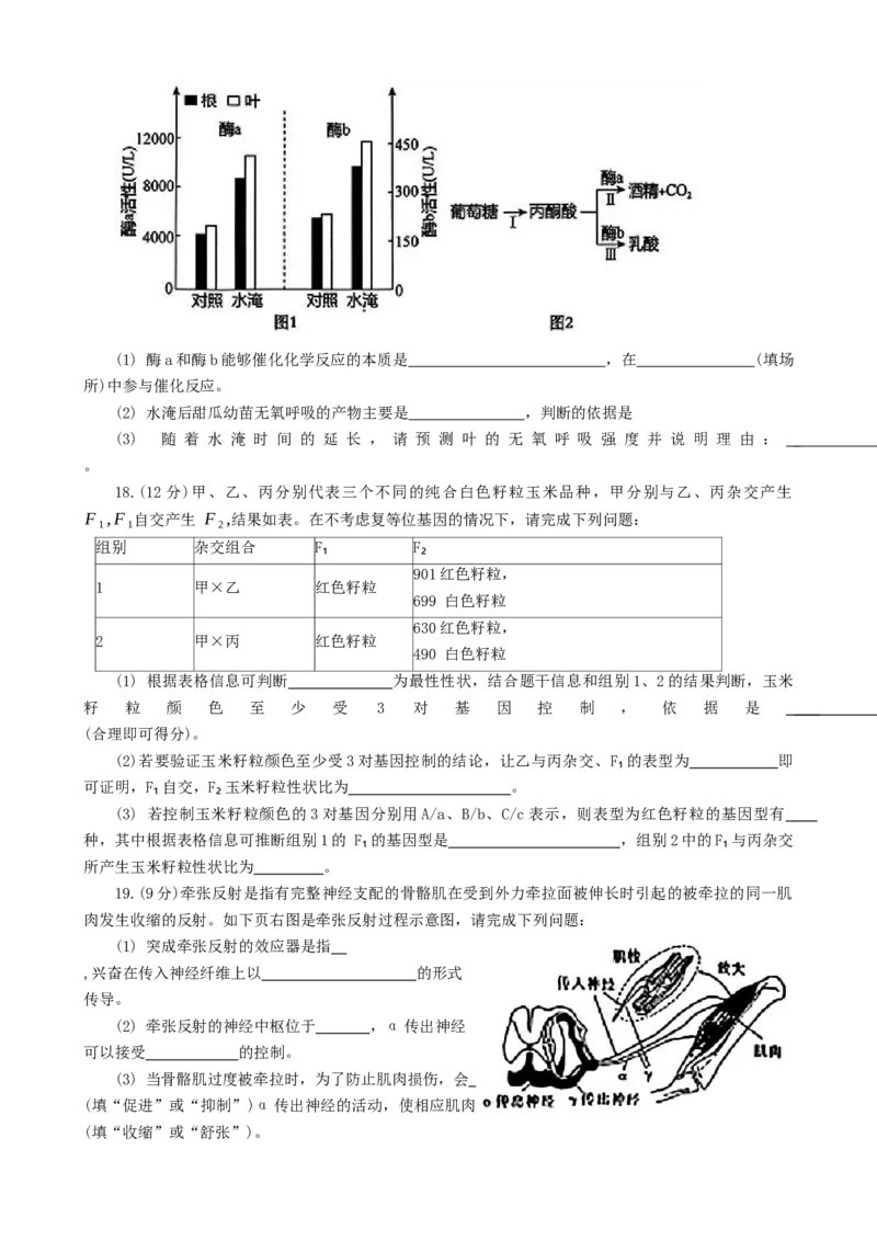 2025届河北省邯郸市部分校高三第一次大联考模拟预测生物试卷_2024-2026高三（6-6月题库）_2024年12月试卷_1214河北省邯郸市部分学校2025届高三上学期第一次大联考模拟预测（全科）