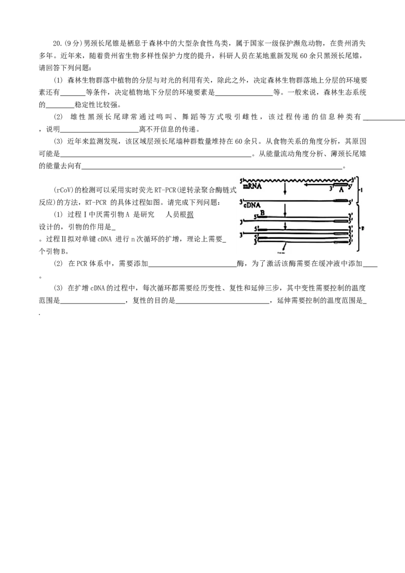2025届河北省邯郸市部分校高三第一次大联考模拟预测生物试卷_2024-2026高三（6-6月题库）_2024年12月试卷_1214河北省邯郸市部分学校2025届高三上学期第一次大联考模拟预测（全科）