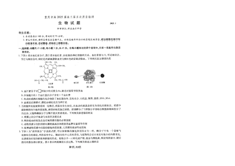 重庆市南开中学高2025届高三第五次质量检测生物_2024-2025高三（6-6月题库）_2025年01月试卷_0107重庆市南开中学高2025届高三第五次质量检测（全科）