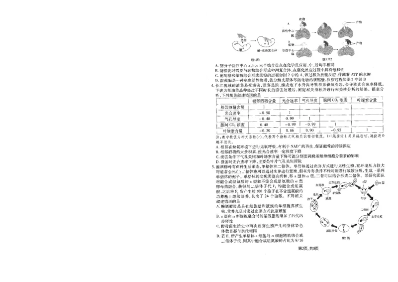 重庆市南开中学高2025届高三第五次质量检测生物_2024-2025高三（6-6月题库）_2025年01月试卷_0107重庆市南开中学高2025届高三第五次质量检测（全科）