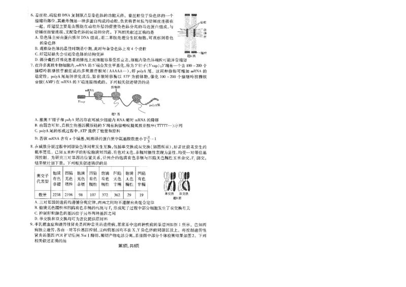 重庆市南开中学高2025届高三第五次质量检测生物_2024-2025高三（6-6月题库）_2025年01月试卷_0107重庆市南开中学高2025届高三第五次质量检测（全科）
