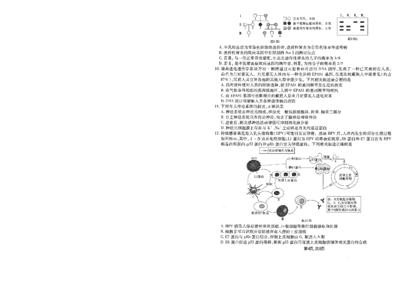 重庆市南开中学高2025届高三第五次质量检测生物_2024-2025高三（6-6月题库）_2025年01月试卷_0107重庆市南开中学高2025届高三第五次质量检测（全科）