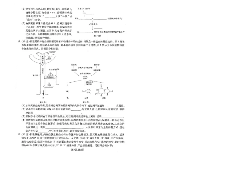 重庆市南开中学高2025届高三第五次质量检测生物_2024-2025高三（6-6月题库）_2025年01月试卷_0107重庆市南开中学高2025届高三第五次质量检测（全科）
