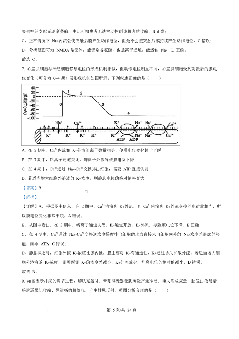 重庆市巴蜀中学教育集团2025-2026学年高二上学期10月月考生物试题Word版含解析_2025年11月高二试卷_251111重庆市巴蜀中学教育集团2025-2026学年高二上学期10月月考试题（全）