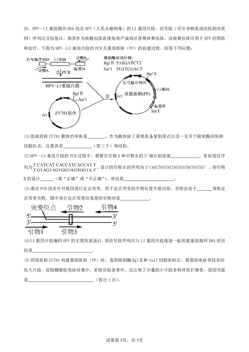 生物试卷_2024-2025高二（7-7月题库）_2025年6月试卷_0601四川省南充市嘉陵一中2024-2025学年高二下学期5月月考试题