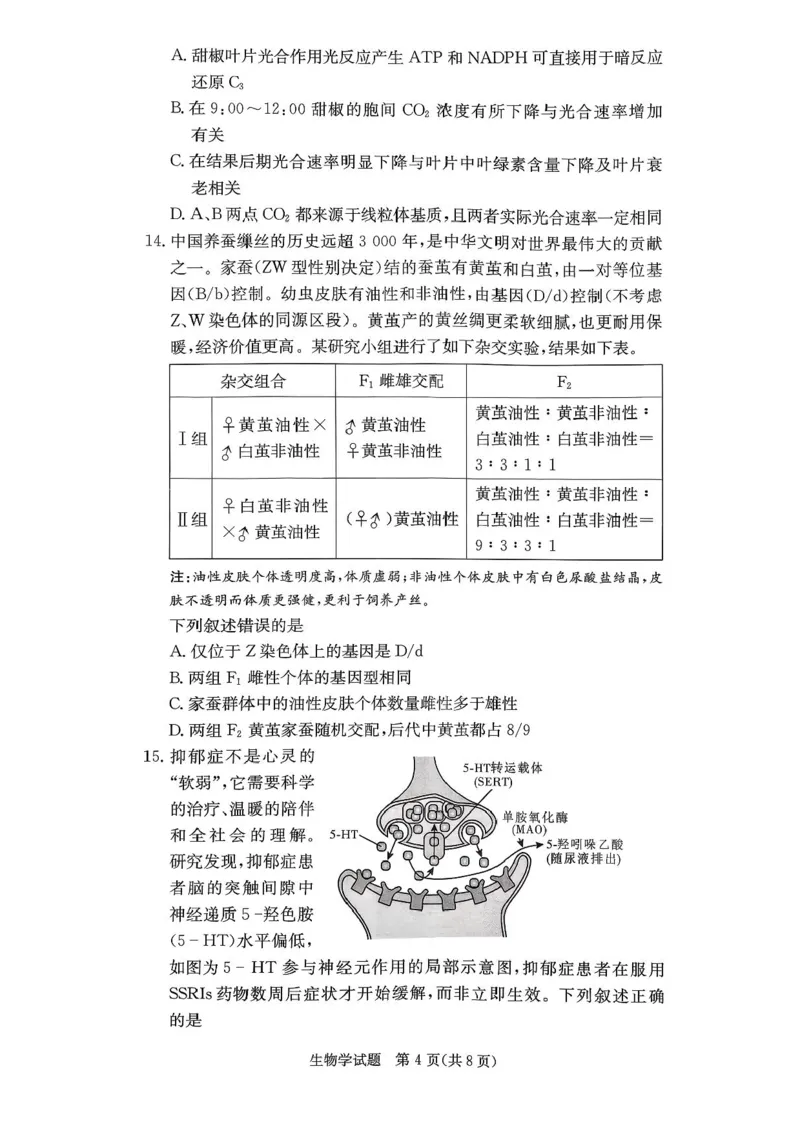 湖南省名校联考联合体2025-2026学年高二上学期期中考试生物试题_2025年11月高二试卷_251116湖南炎德英才名校联考联合体2025年秋季高二第三次（期中）联考