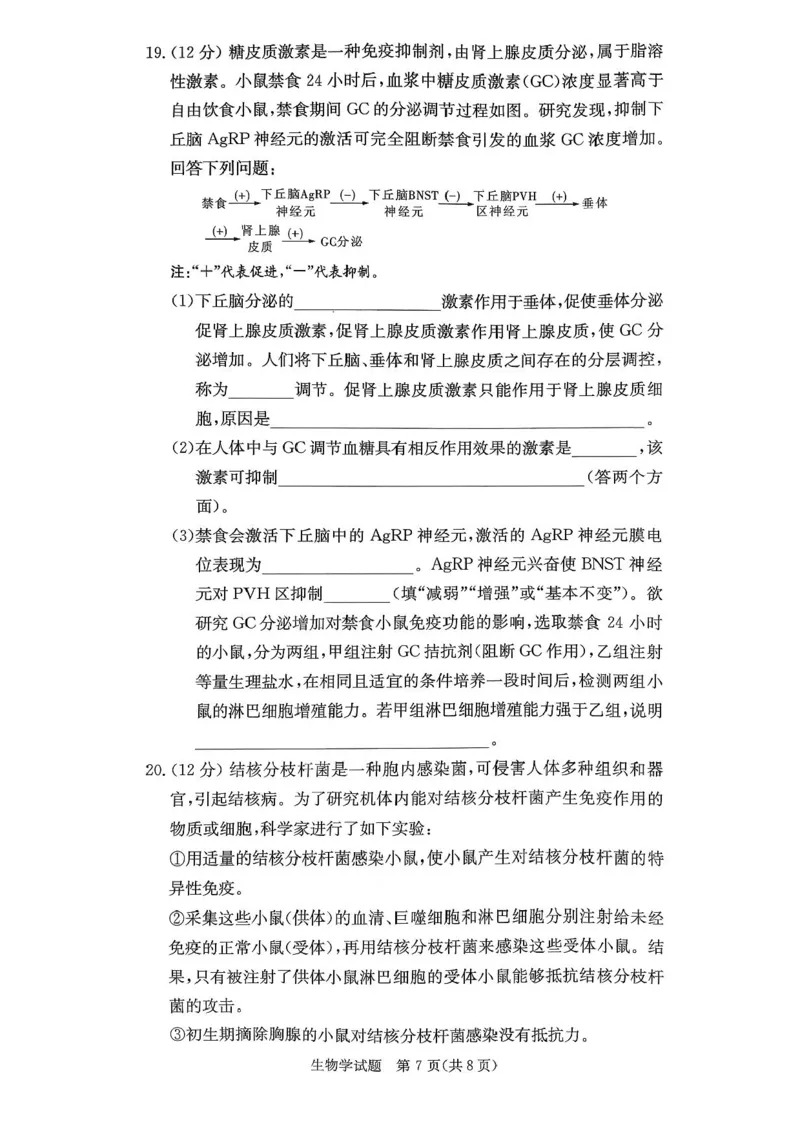 湖南省名校联考联合体2025-2026学年高二上学期期中考试生物试题_2025年11月高二试卷_251116湖南炎德英才名校联考联合体2025年秋季高二第三次（期中）联考