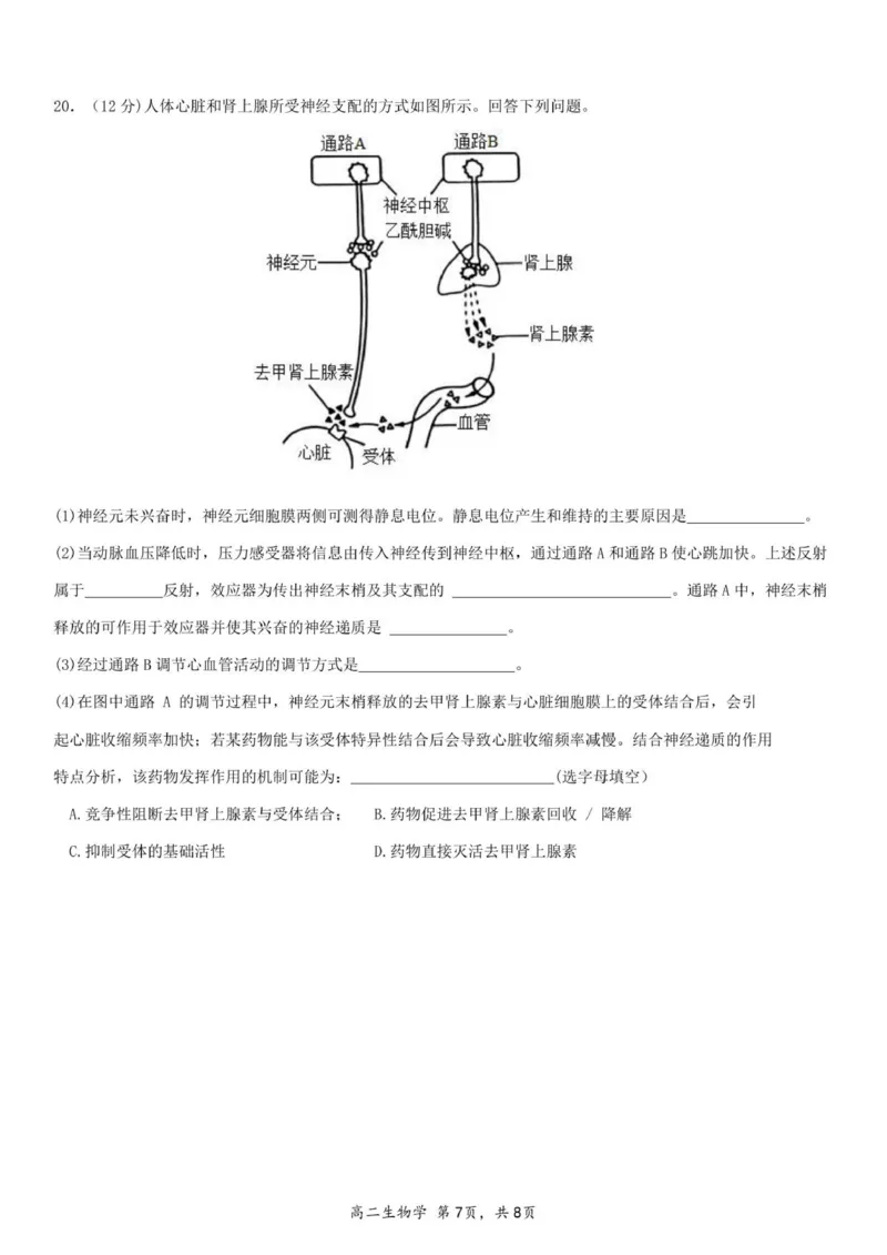 高二生物试卷-2025-2026学年度第一学期高中阶段联考（12月）_251212广东省多校联考2025-2026学年高二上学期12月期中_广东省多校联考2025-2026学年高二上学期12月考试生物试题（含答案）