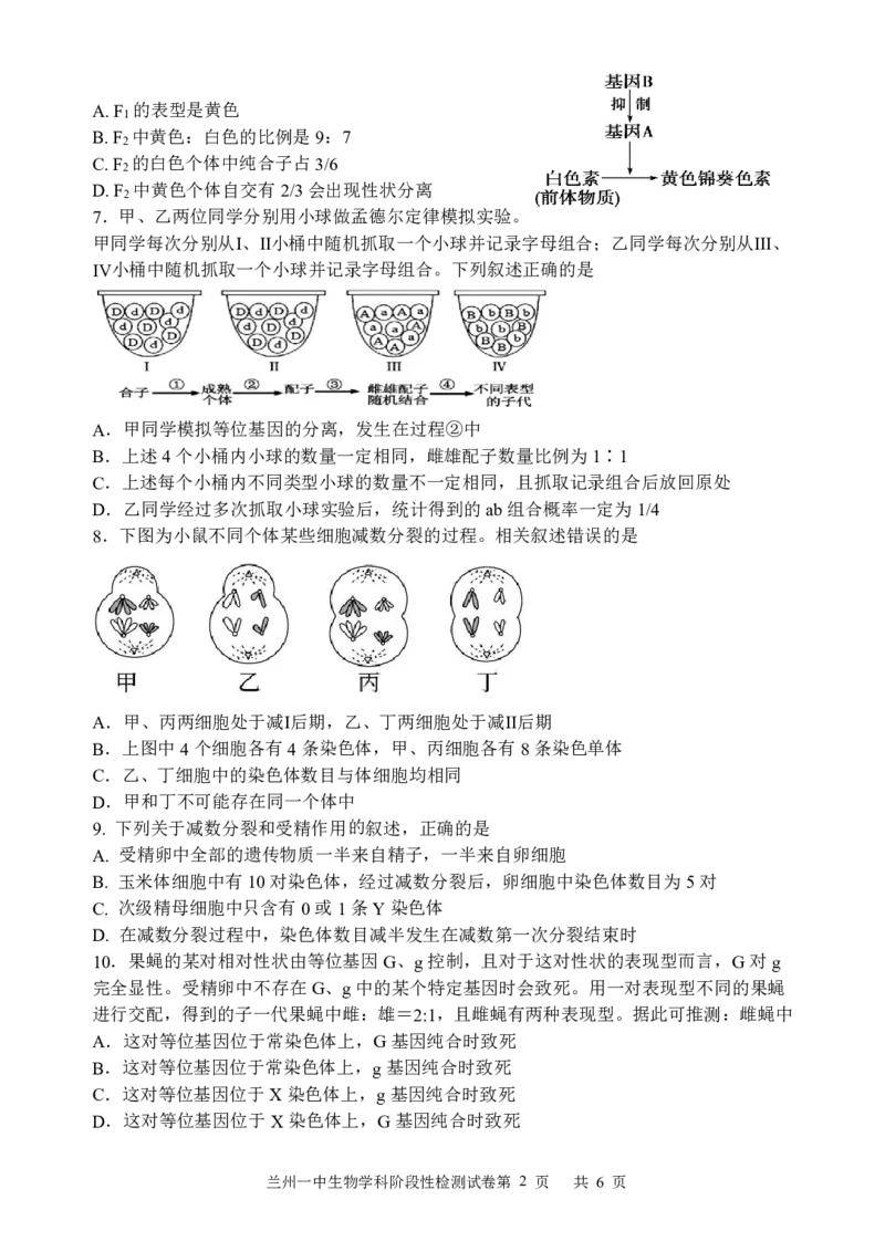 甘肃省兰州第一中学2024-2025学年高二上学期开学阶段检测生物+答案_2024-2025高二（7-7月题库）_2024年09月试卷_0914甘肃省兰州第一中学2024-2025学年高二上学期开学阶段检测