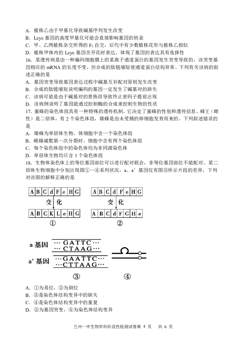 甘肃省兰州第一中学2024-2025学年高二上学期开学阶段检测生物+答案_2024-2025高二（7-7月题库）_2024年09月试卷_0914甘肃省兰州第一中学2024-2025学年高二上学期开学阶段检测
