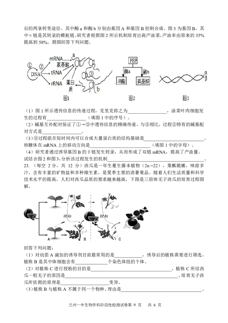 甘肃省兰州第一中学2024-2025学年高二上学期开学阶段检测生物+答案_2024-2025高二（7-7月题库）_2024年09月试卷_0914甘肃省兰州第一中学2024-2025学年高二上学期开学阶段检测