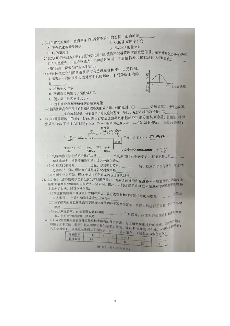 银川一中、昆明一中高三联合考试二模理科综合_2024年5月_01按日期_12号_2024届宁夏银川一中昆明一中高三下学期联合考试二模