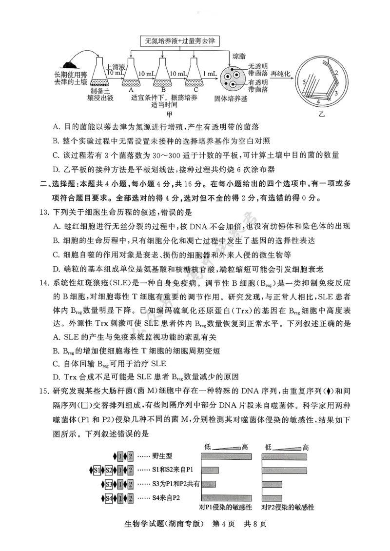 T8（湖南卷）-2026届高三12月检测训练生物学试题_2024-2026高三（6-6月题库）_2025年12月高三试卷_2512252026届高三第一次八省联考（T8联考）（全科）