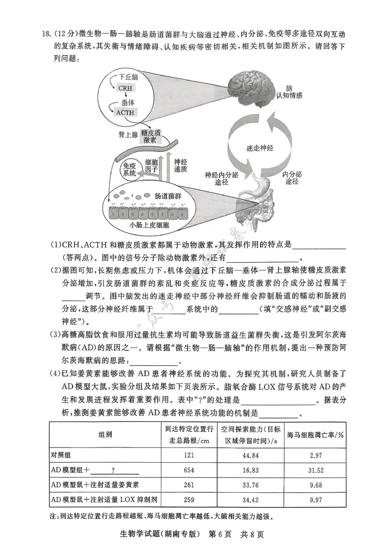T8（湖南卷）-2026届高三12月检测训练生物学试题_2024-2026高三（6-6月题库）_2025年12月高三试卷_2512252026届高三第一次八省联考（T8联考）（全科）