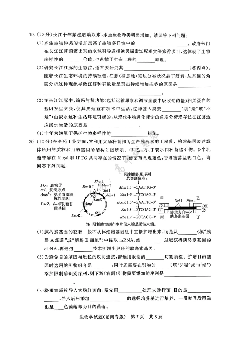 T8（湖南卷）-2026届高三12月检测训练生物学试题_2024-2026高三（6-6月题库）_2025年12月高三试卷_2512252026届高三第一次八省联考（T8联考）（全科）