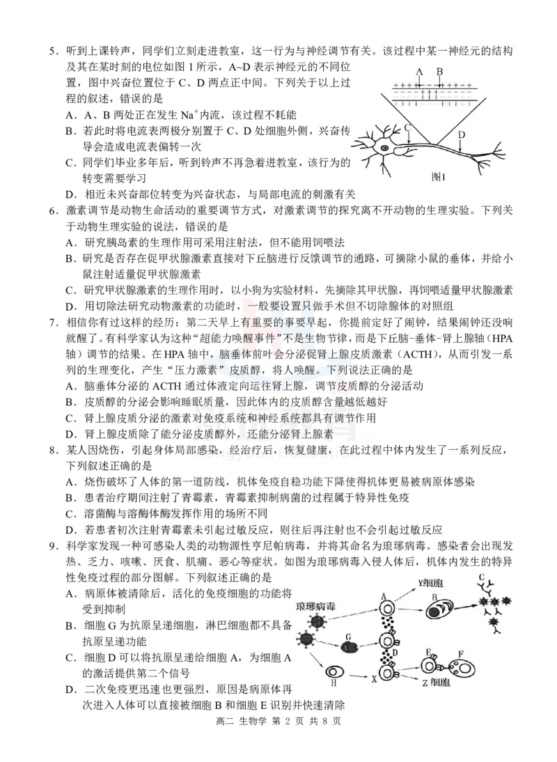 高二生物试卷_2024-2025高二（7-7月题库）_2024年12月试卷_1206广西河池市2024-2025学年高二上学期12月联盟考试_广西河池市2024-2025学年高二上学期12月联盟考试生物试题PDF版含解析