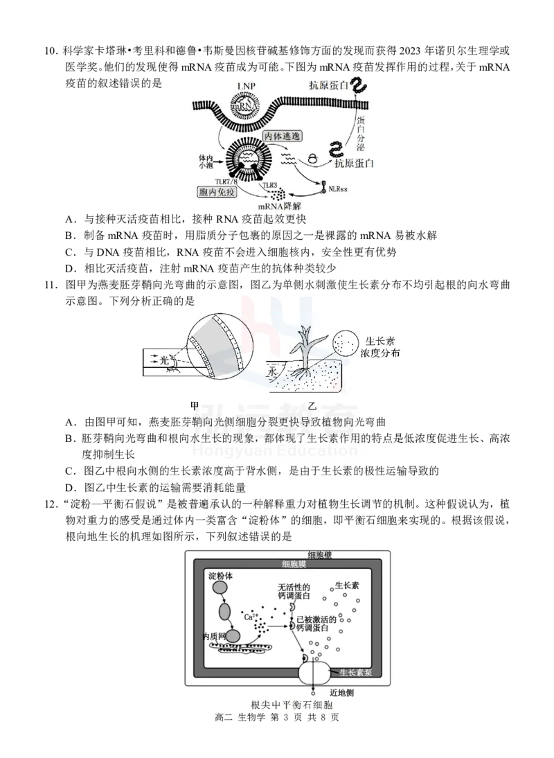 高二生物试卷_2024-2025高二（7-7月题库）_2024年12月试卷_1206广西河池市2024-2025学年高二上学期12月联盟考试_广西河池市2024-2025学年高二上学期12月联盟考试生物试题PDF版含解析
