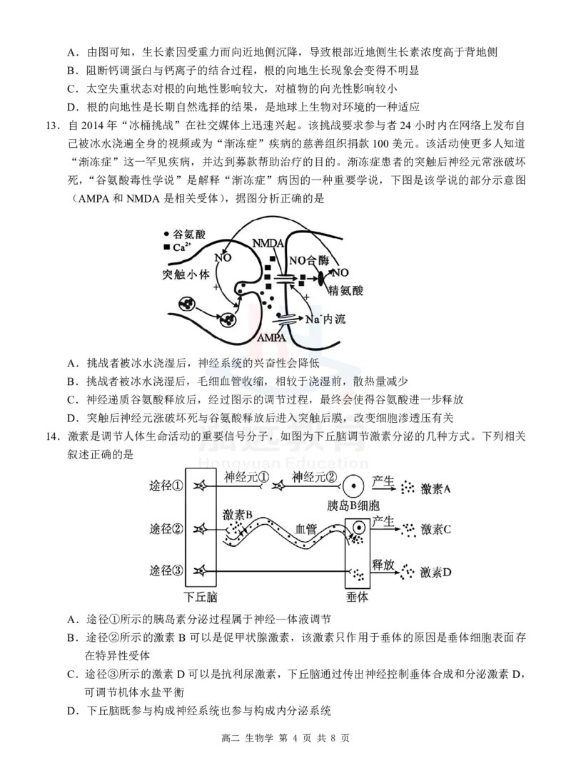 高二生物试卷_2024-2025高二（7-7月题库）_2024年12月试卷_1206广西河池市2024-2025学年高二上学期12月联盟考试_广西河池市2024-2025学年高二上学期12月联盟考试生物试题PDF版含解析