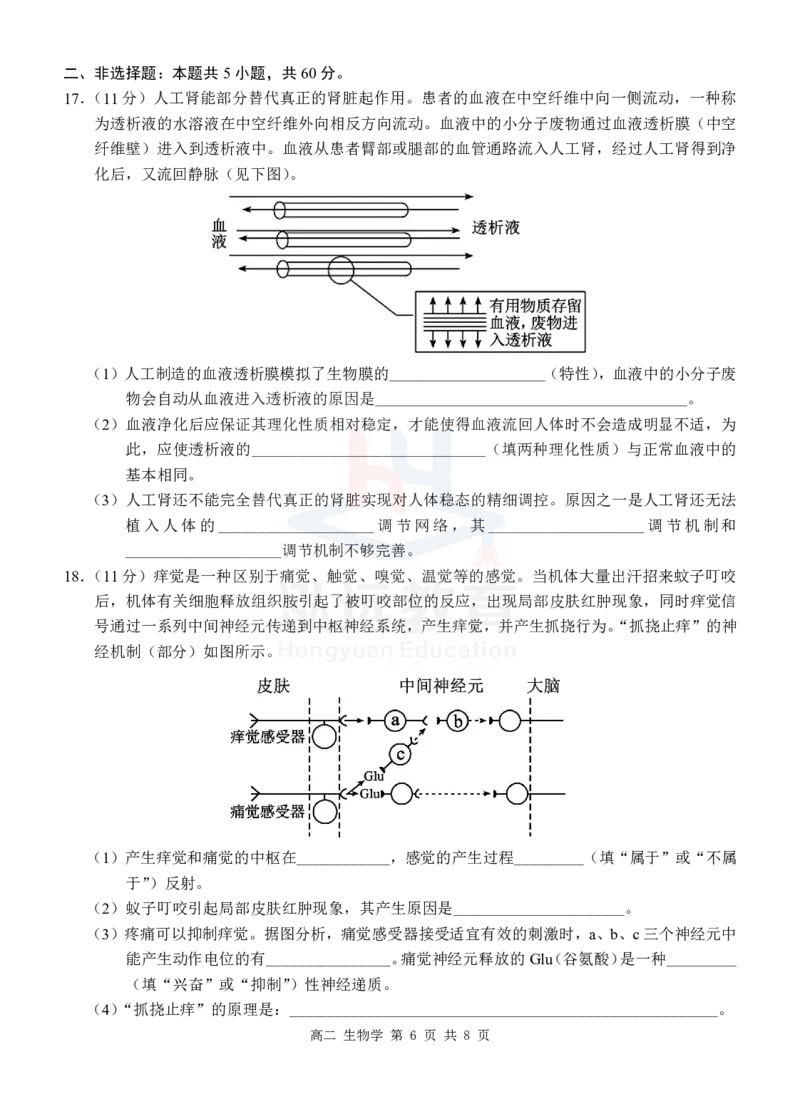 高二生物试卷_2024-2025高二（7-7月题库）_2024年12月试卷_1206广西河池市2024-2025学年高二上学期12月联盟考试_广西河池市2024-2025学年高二上学期12月联盟考试生物试题PDF版含解析