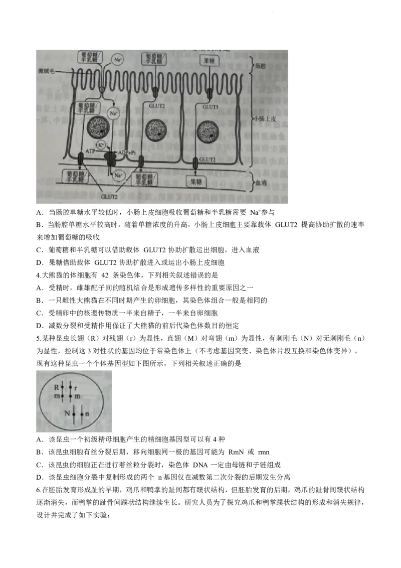 辽宁省名校联盟2023-2024学年高三10月月考生物试题_2024-2025高三（6-6月题库）_2024年10月试卷_1010辽宁省名校联盟2024-2025学年高三上学期10月联合考试