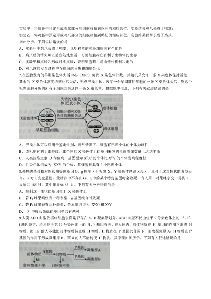 辽宁省名校联盟2023-2024学年高三10月月考生物试题_2024-2025高三（6-6月题库）_2024年10月试卷_1010辽宁省名校联盟2024-2025学年高三上学期10月联合考试