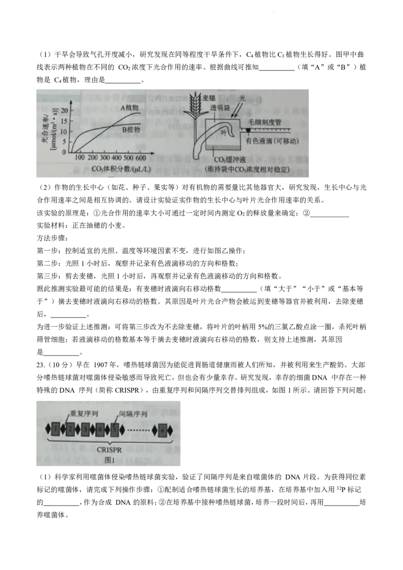辽宁省名校联盟2023-2024学年高三10月月考生物试题_2024-2025高三（6-6月题库）_2024年10月试卷_1010辽宁省名校联盟2024-2025学年高三上学期10月联合考试