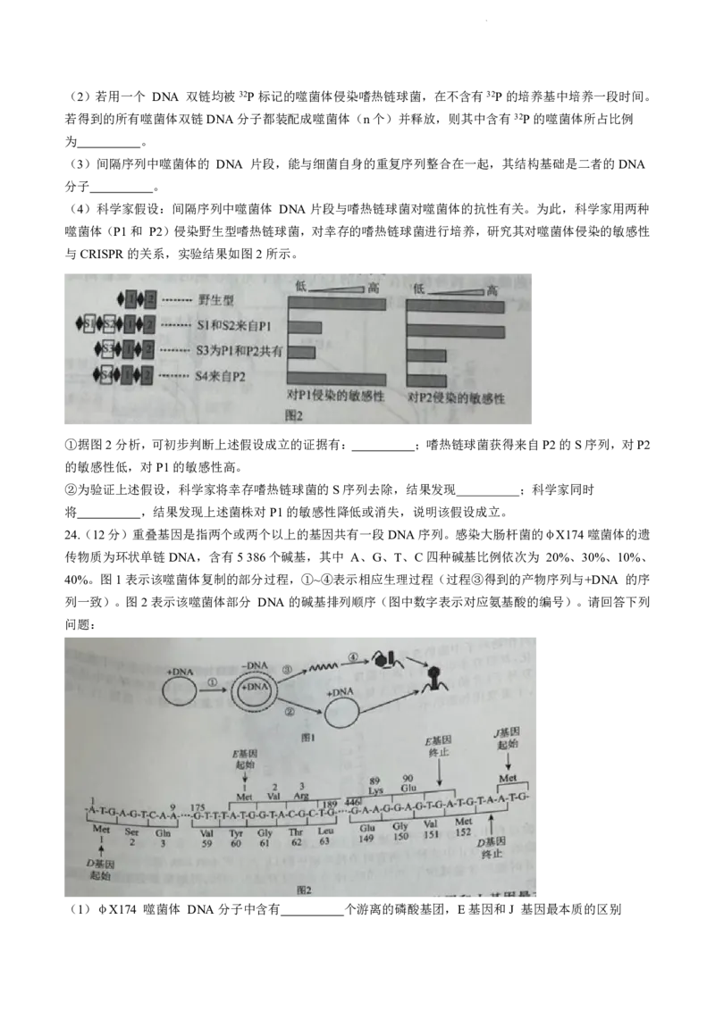 辽宁省名校联盟2023-2024学年高三10月月考生物试题_2024-2025高三（6-6月题库）_2024年10月试卷_1010辽宁省名校联盟2024-2025学年高三上学期10月联合考试
