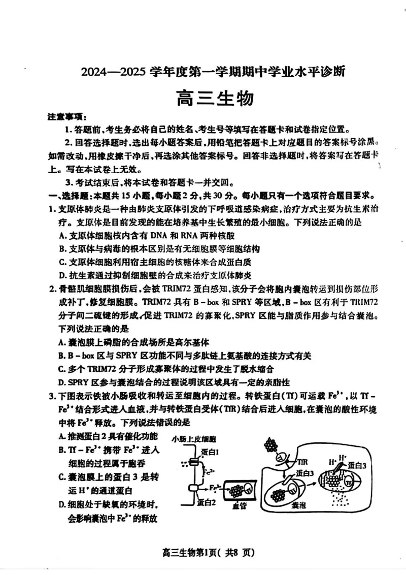 生物试卷_2024-2025高三（6-6月题库）_2024年11月试卷_1111山东省烟台市2025届高三11月期中学业水平检测_山东省烟台市2025届高三11月期中学业水平检测生物